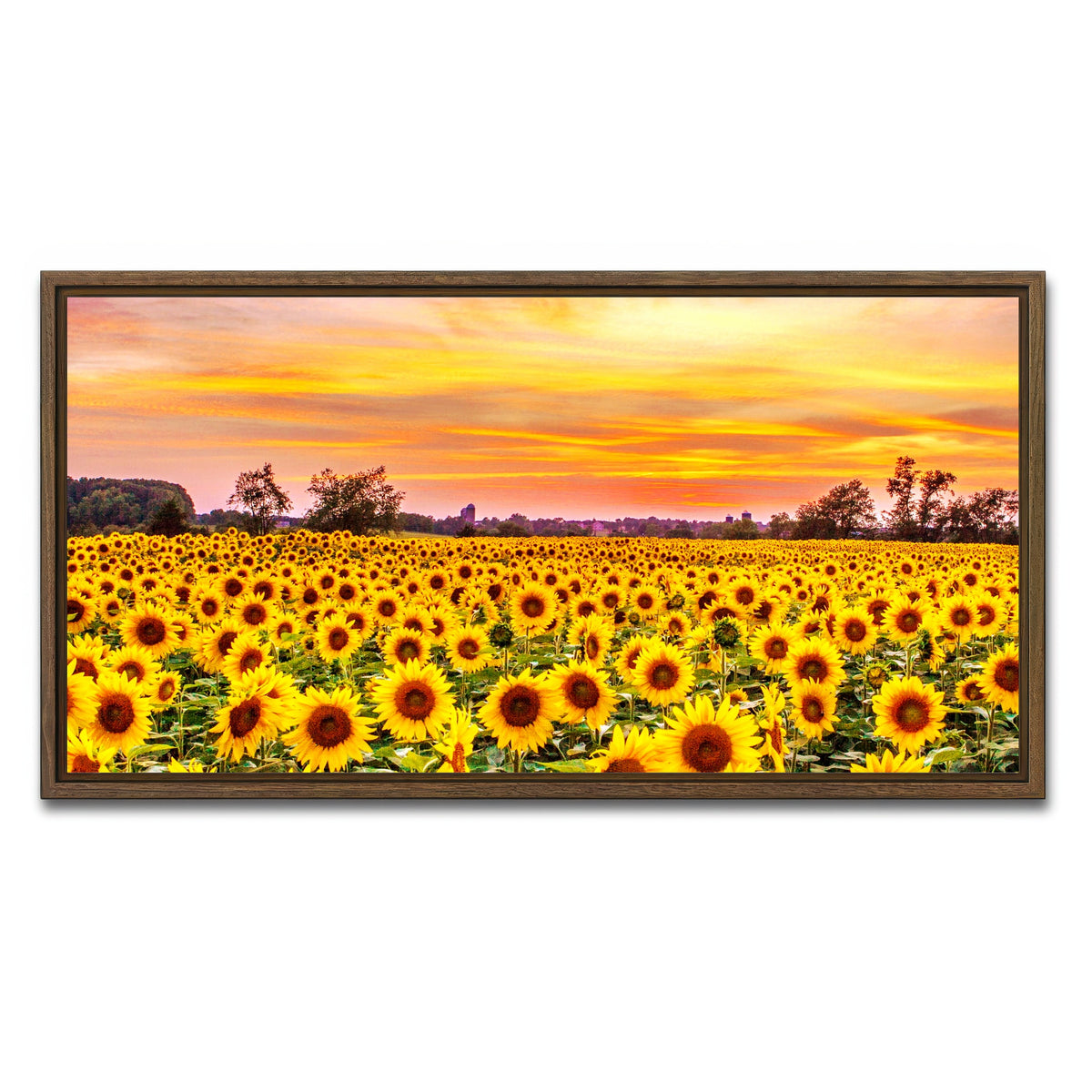 AUTO-MOCKUP WHITE | Bed of Sunflowers | 1 Piece | Walnut Framed Canvas | group=2x1