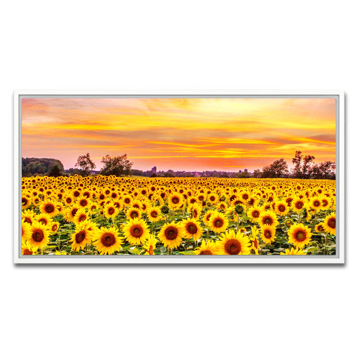 AUTO-MOCKUP WHITE | Bed of Sunflowers | 1 Piece | White Framed Canvas | group=2x1