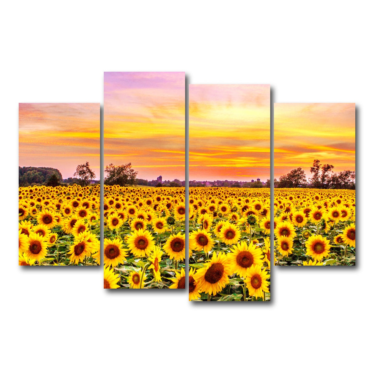 AUTO-MOCKUP WHITE | Bed of Sunflowers | 4 Piece | Gallery Wrap Canvas | group=4_short