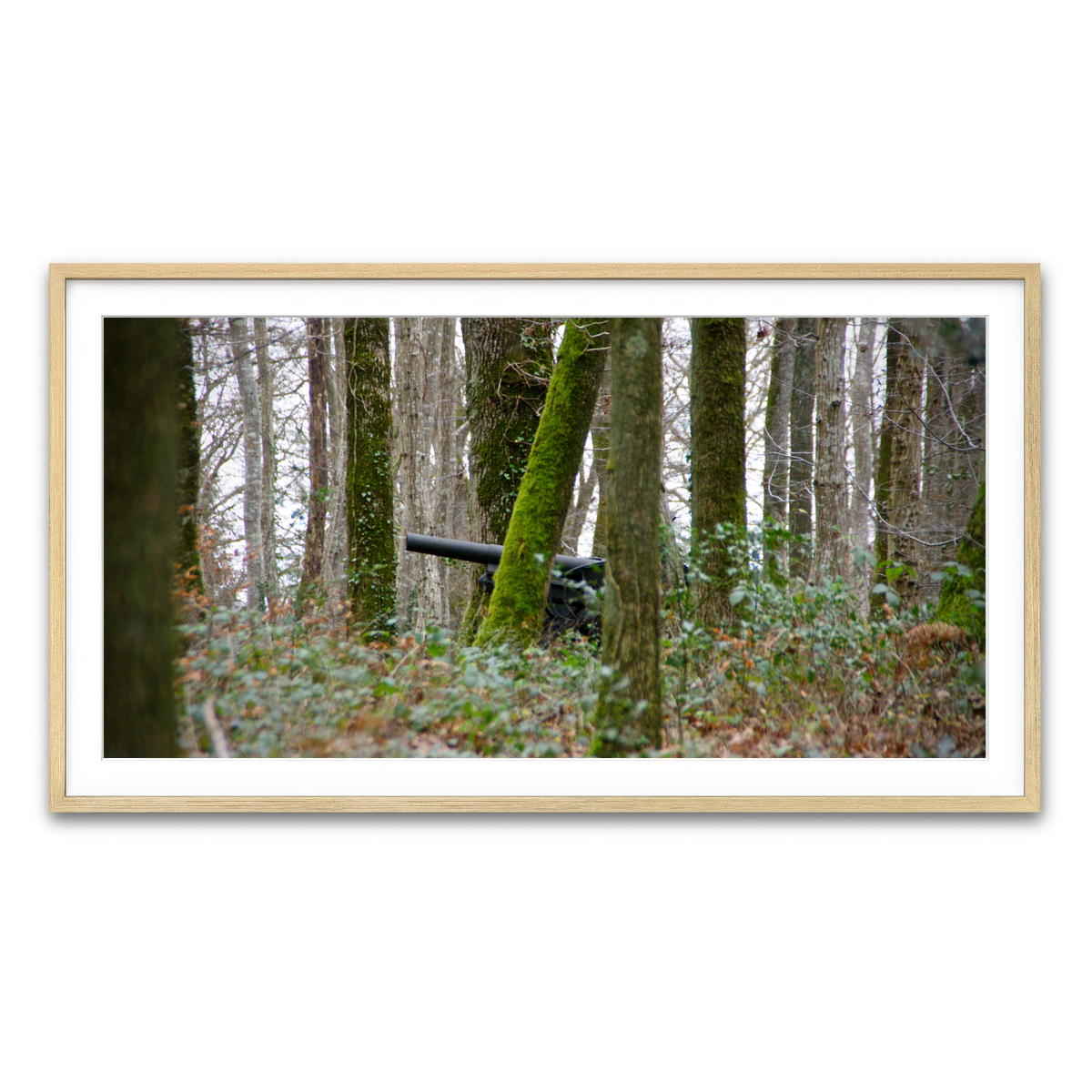 Framed Print 2x1 Natural