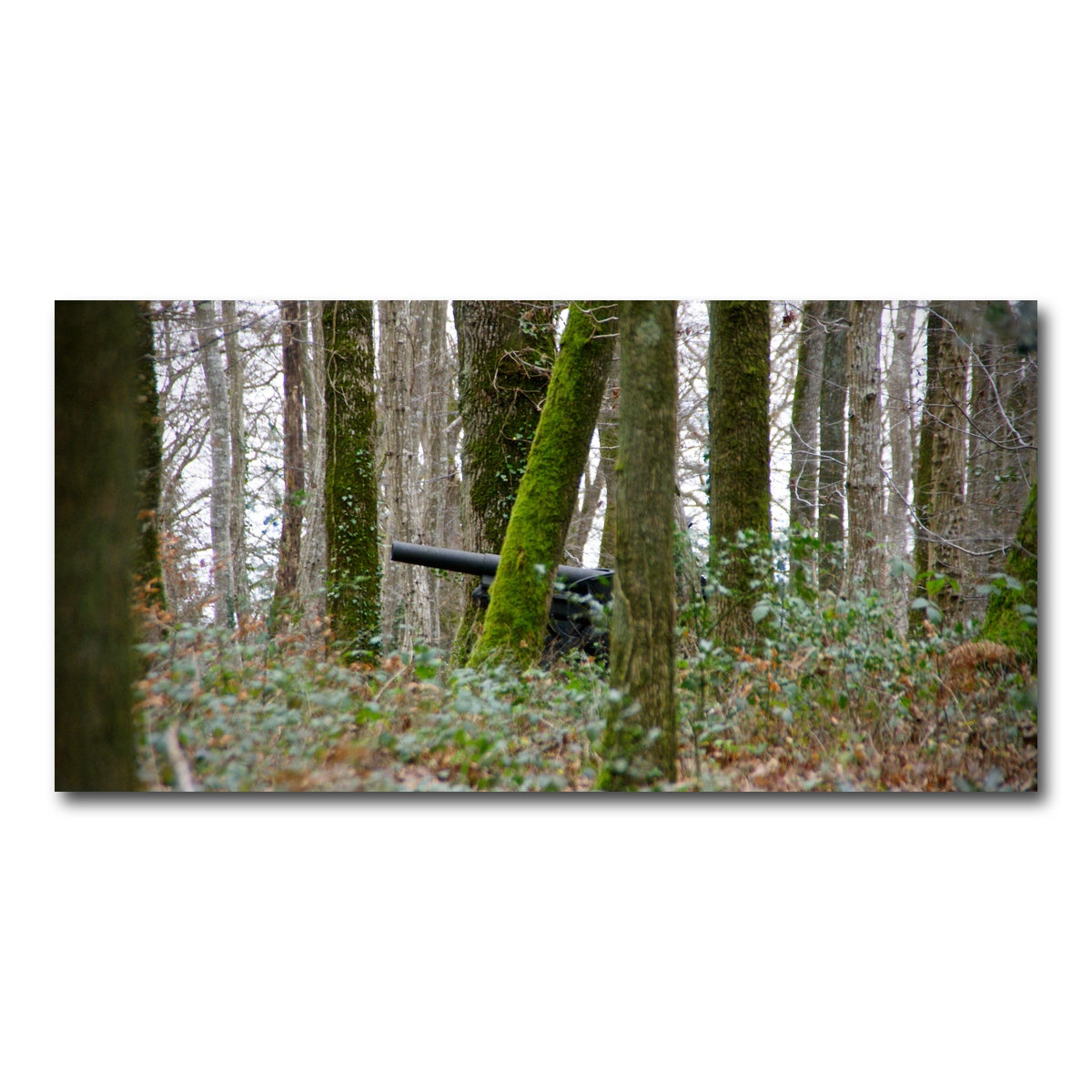 AUTO-MOCKUP WHITE | Belleau Wood | 1 Piece | Gallery Wrap Canvas | group=2x1