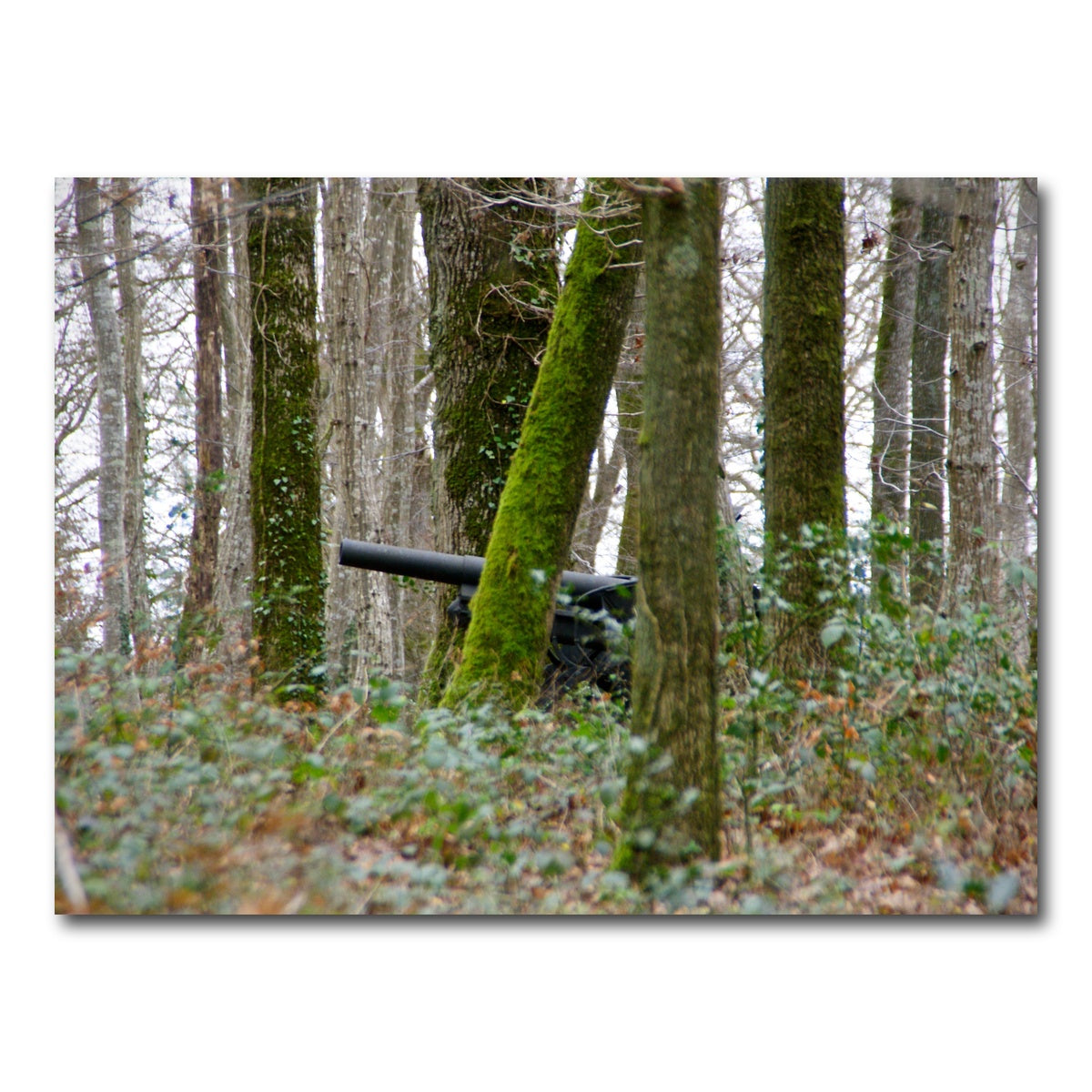 AUTO-MOCKUP WHITE | Belleau Wood | 1 Piece | Gallery Wrap Canvas | group=4x3