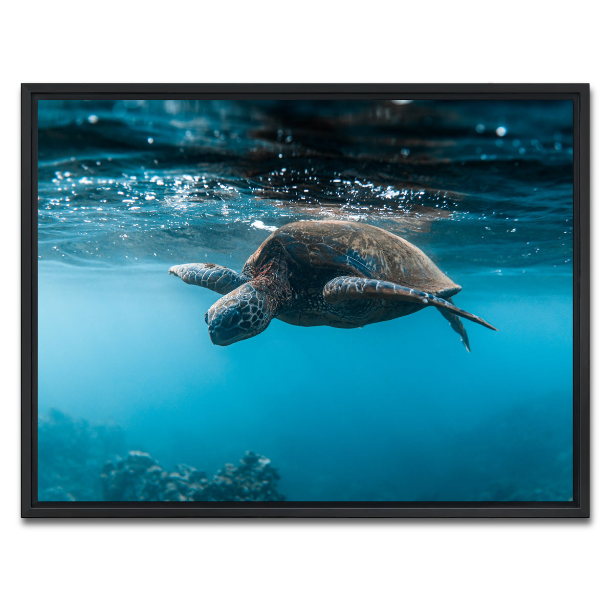 AUTO-MOCKUP WHITE | Below the Surface | 1 Piece | Black Framed Canvas | group=4x3