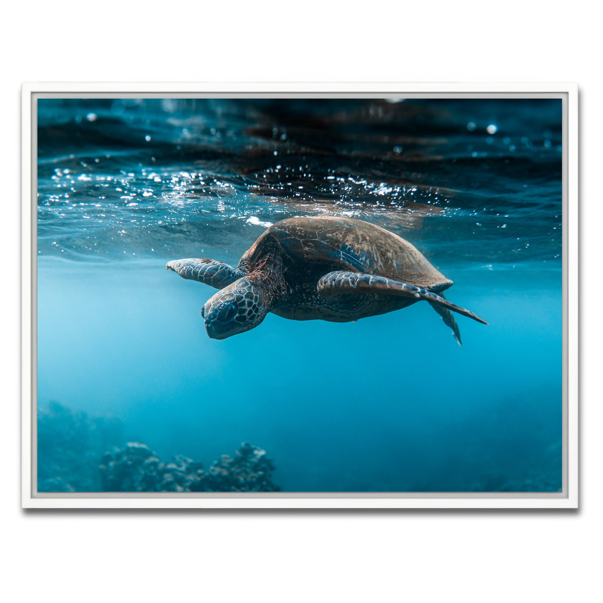 AUTO-MOCKUP WHITE | Below the Surface | 1 Piece | White Framed Canvas | group=4x3