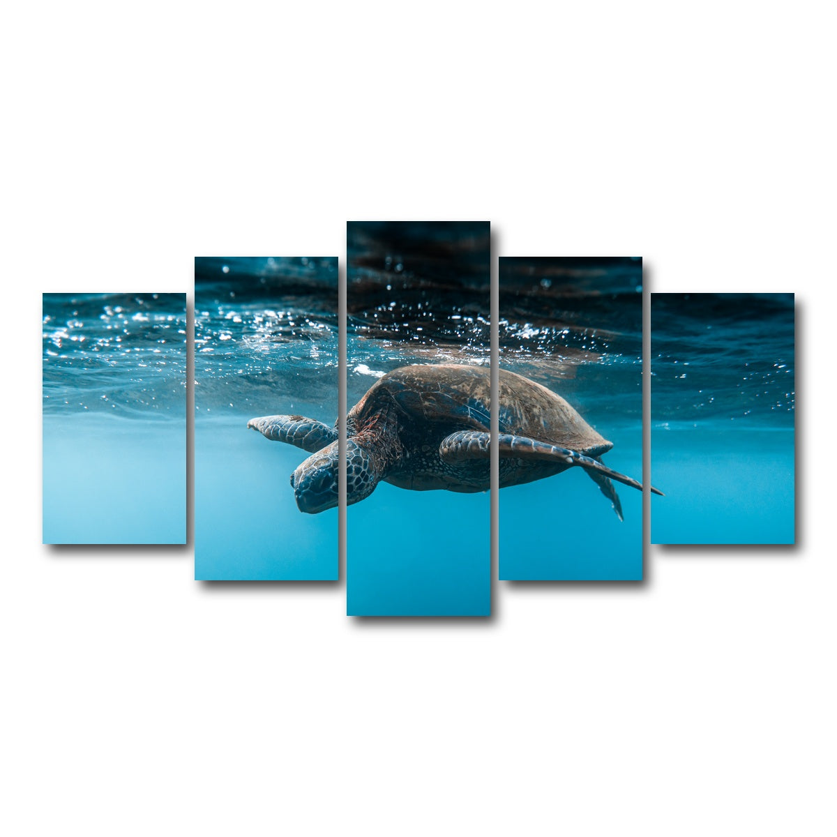 AUTO-MOCKUP WHITE | Below the Surface | 5 Piece | Gallery Wrap Canvas | group=5_normal