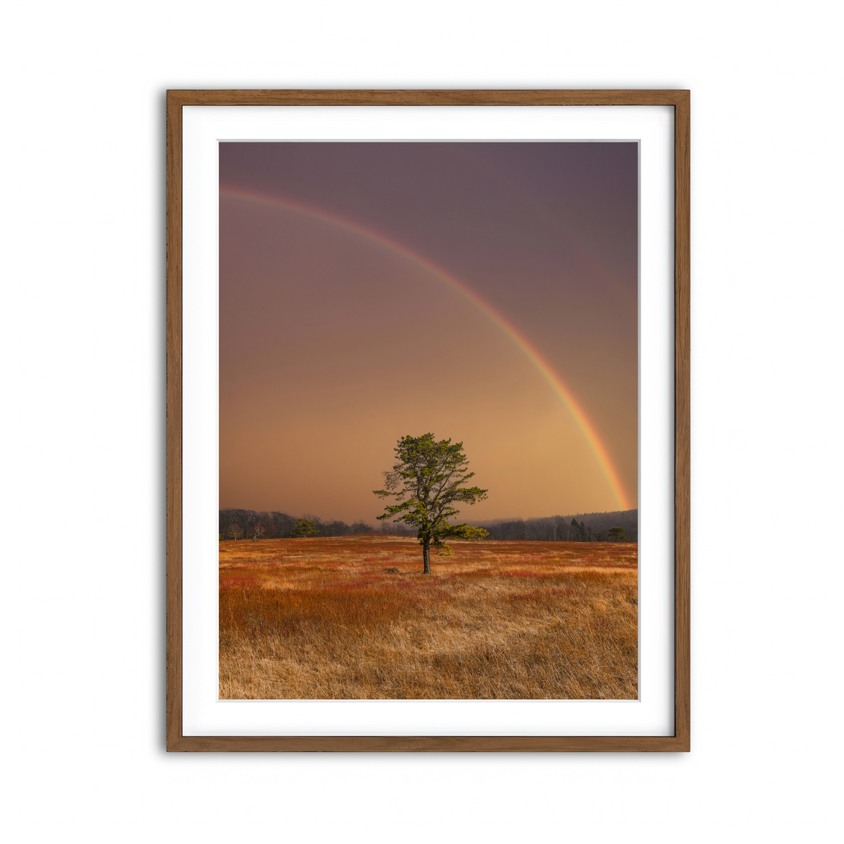 Framed Print 3x4 Walnut