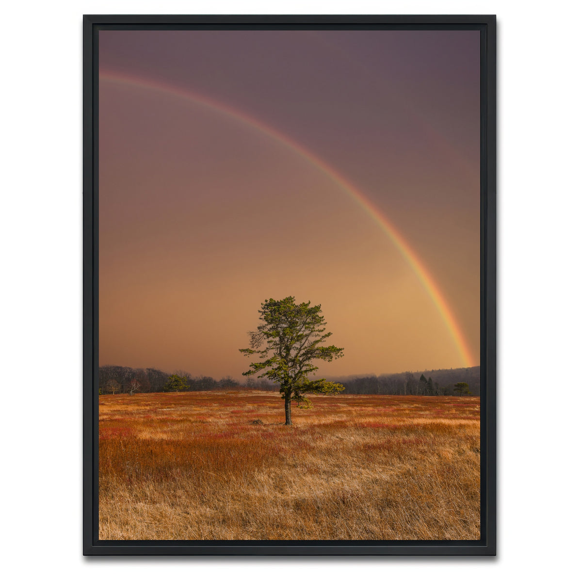 AUTO-MOCKUP WHITE | Big Meadows | 1 Piece | Black Framed Canvas | group=3x4