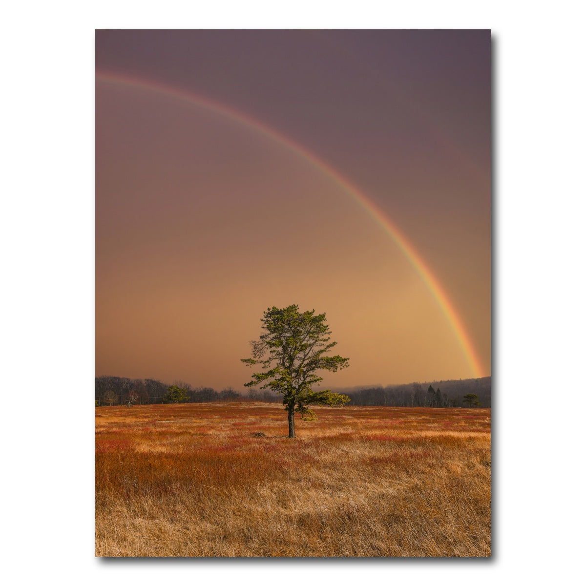AUTO-MOCKUP WHITE | Big Meadows | 1 Piece | Gallery Wrap Canvas | group=3x4