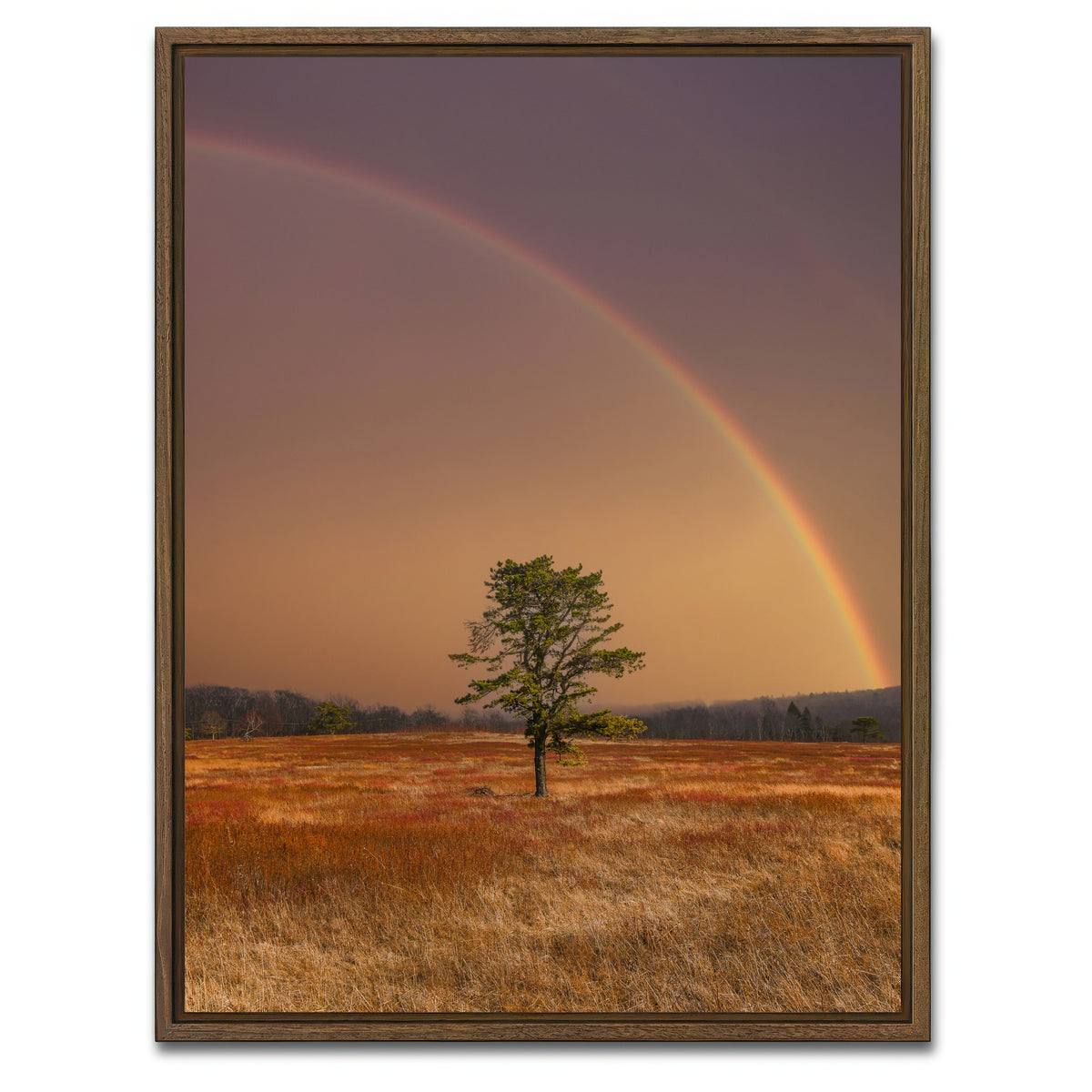 AUTO-MOCKUP WHITE | Big Meadows | 1 Piece | Walnut Framed Canvas | group=3x4