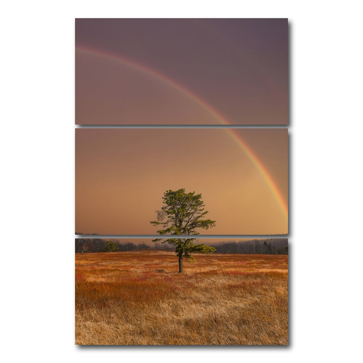 AUTO-MOCKUP WHITE | Big Meadows | 3 Piece | Gallery Wrap Canvas | group=12x24_stacked