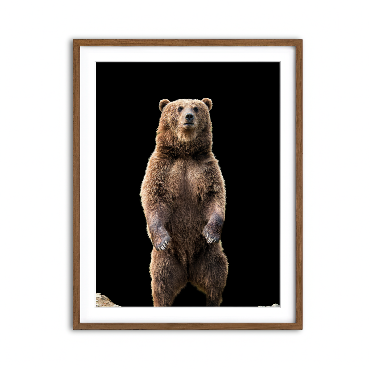 Framed Print 3x4 Walnut