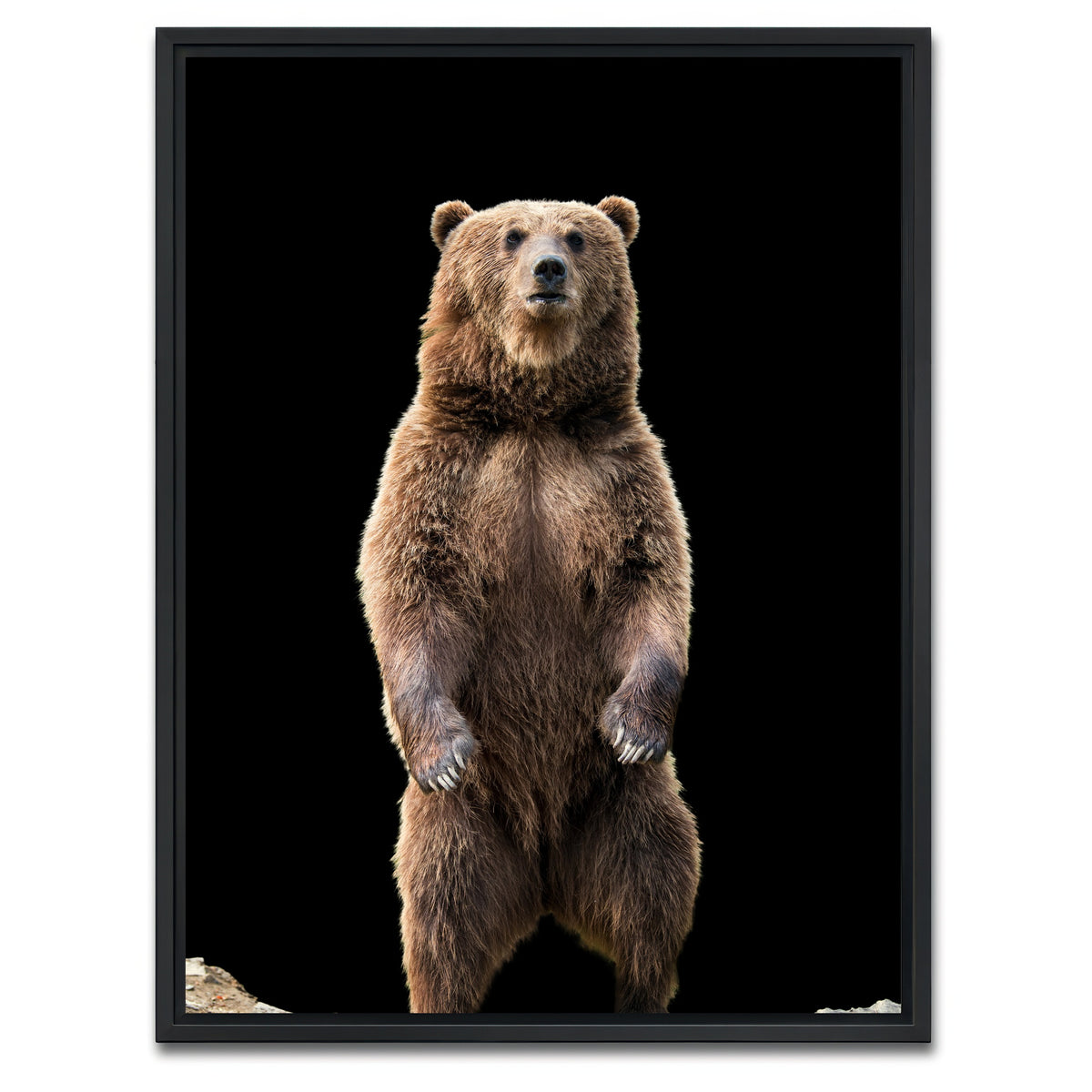 AUTO-MOCKUP WHITE | Big brown bear standing | 1 Piece | Black Framed Canvas | group=3x4