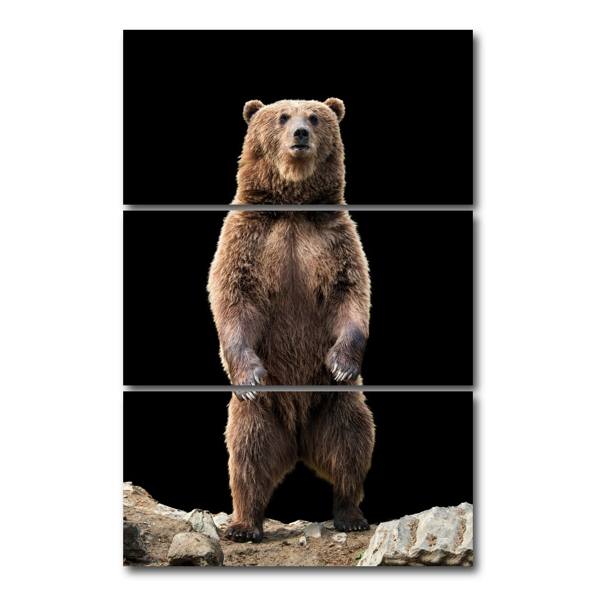 AUTO-MOCKUP WHITE | Big brown bear standing | 3 Piece | Gallery Wrap Canvas | group=12x24_stacked