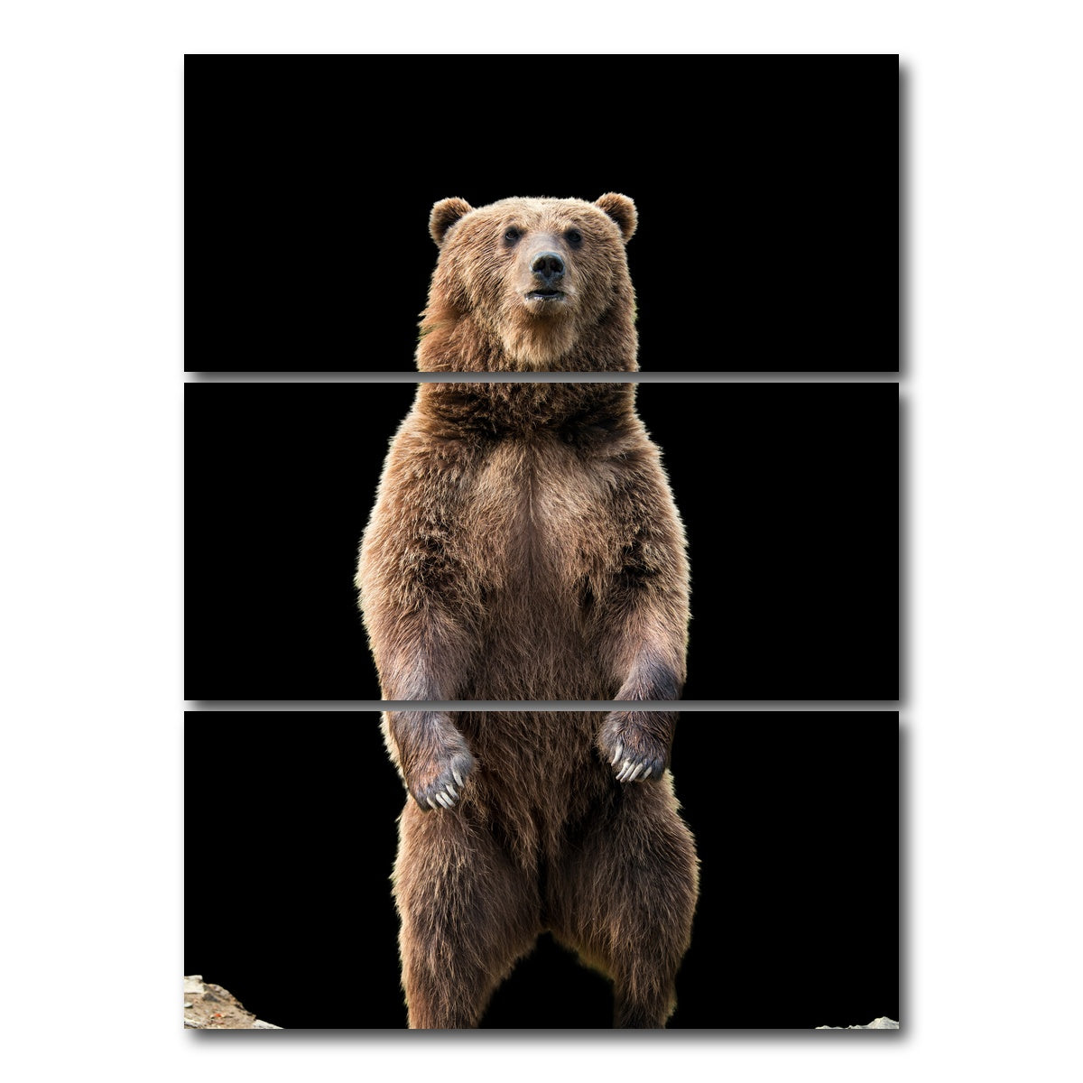 AUTO-MOCKUP WHITE | Big brown bear standing | 3 Piece | Gallery Wrap Canvas | group=8x18_stacked