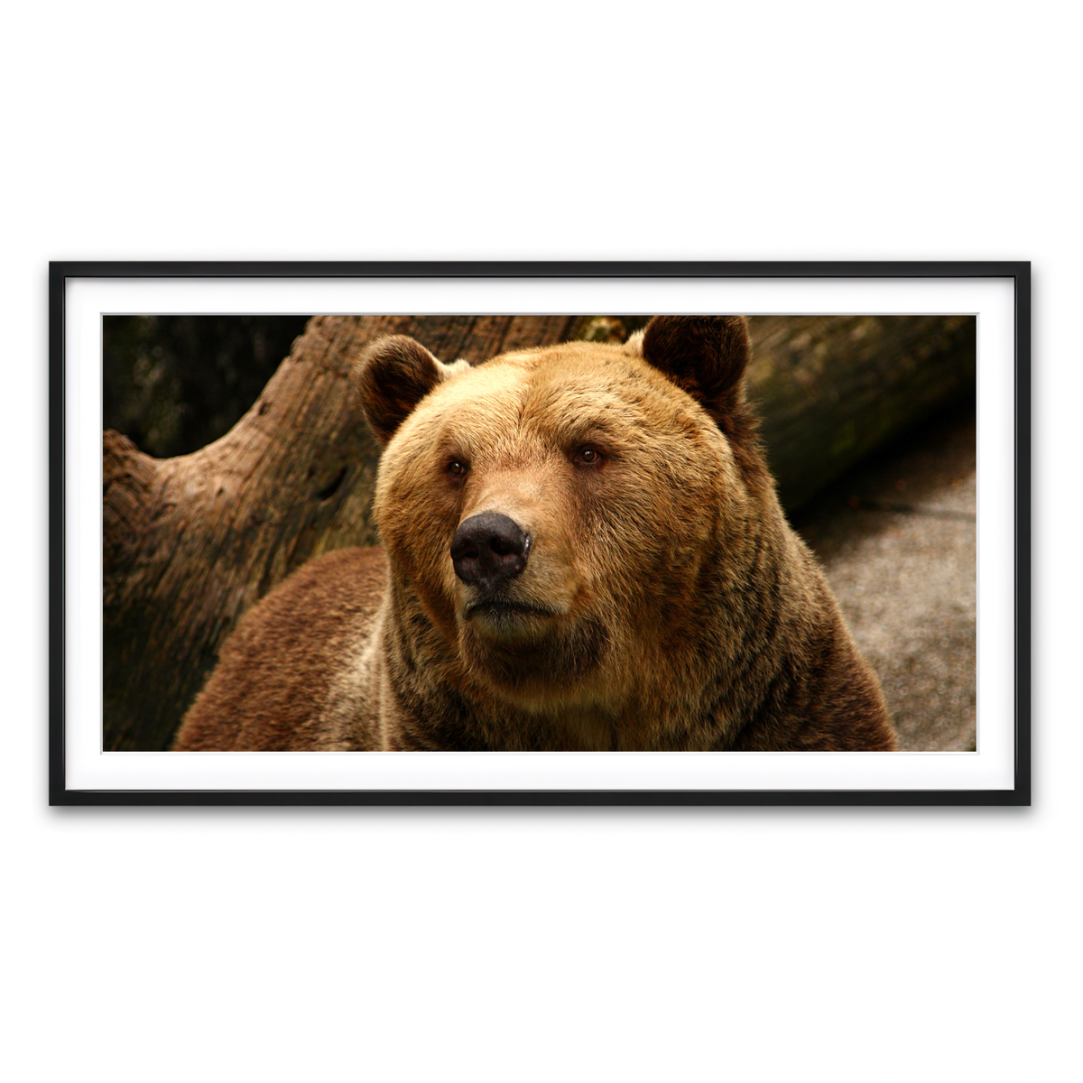 Framed Print 2x1 Black