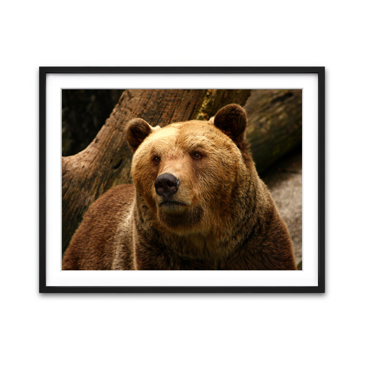 Framed Print 4x3 Black