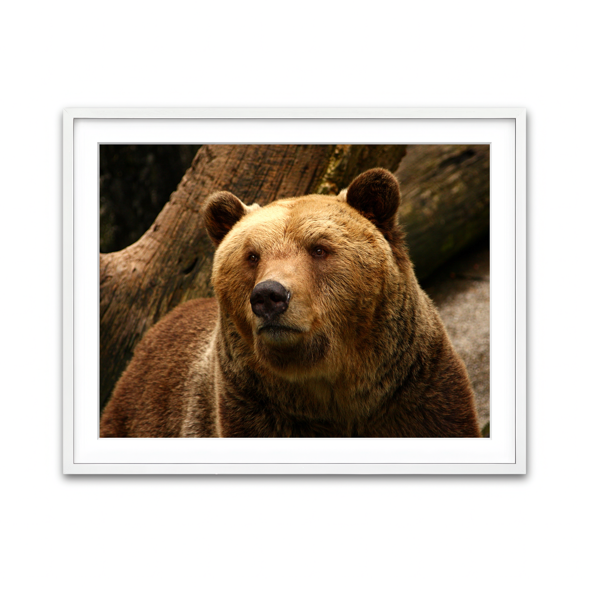 Framed Print 4x3 White