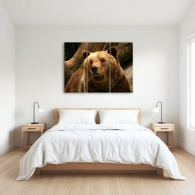 AUTO-MOCKUP ROOM | Big grizzly