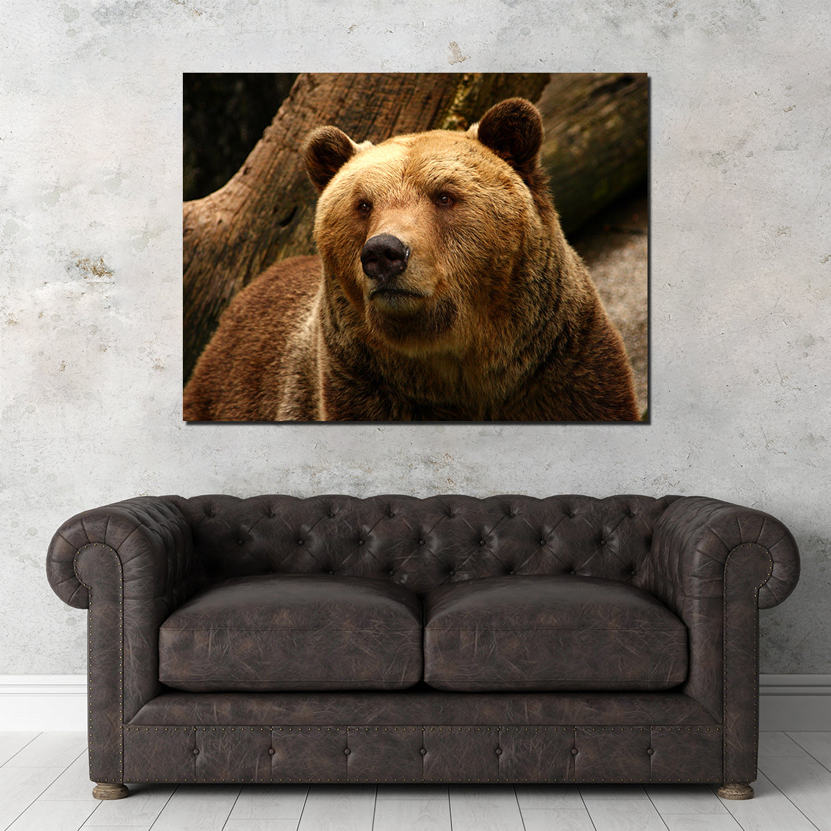 Big Grizzly Wall Art