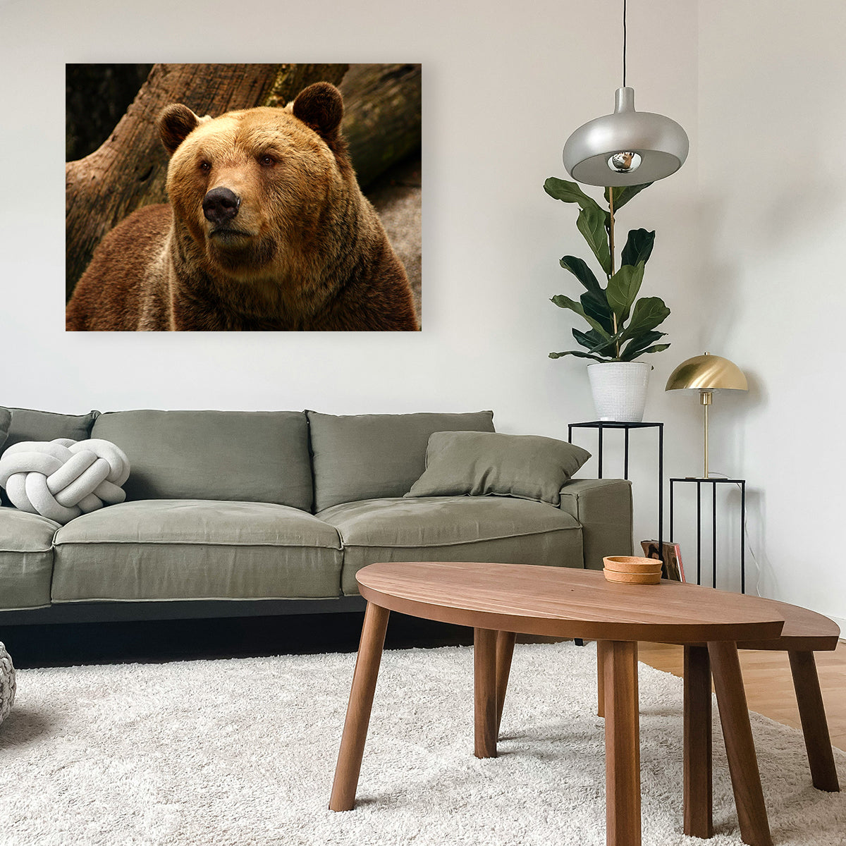 Big Grizzly Wall Art