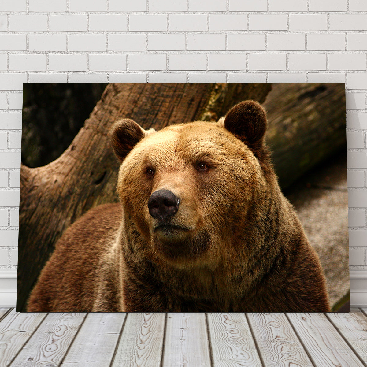 Big Grizzly Wall Art