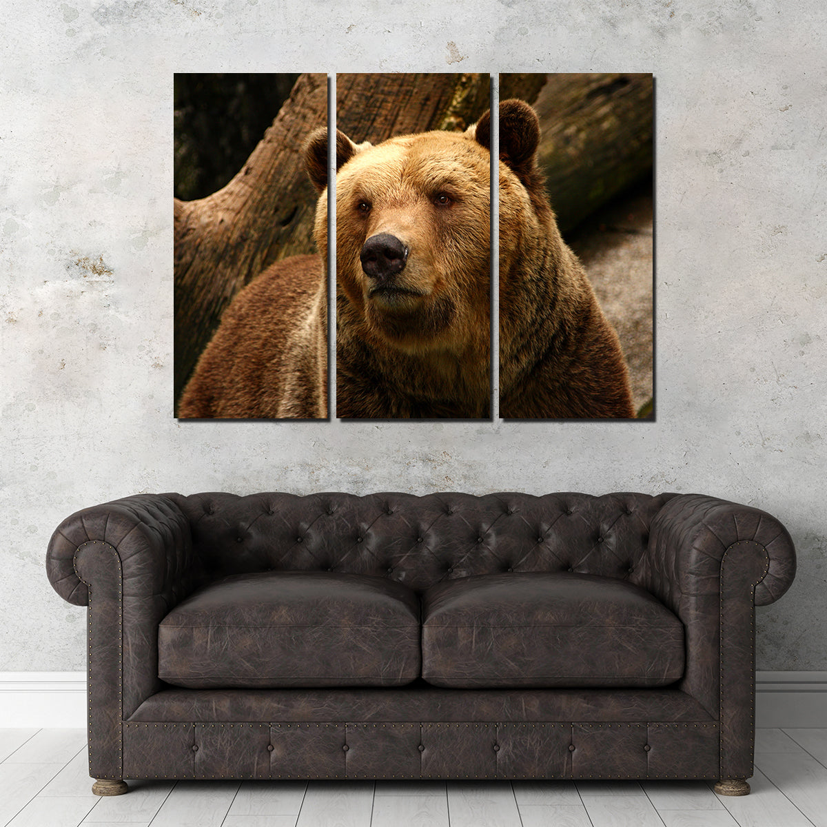 Big Grizzly Wall Art