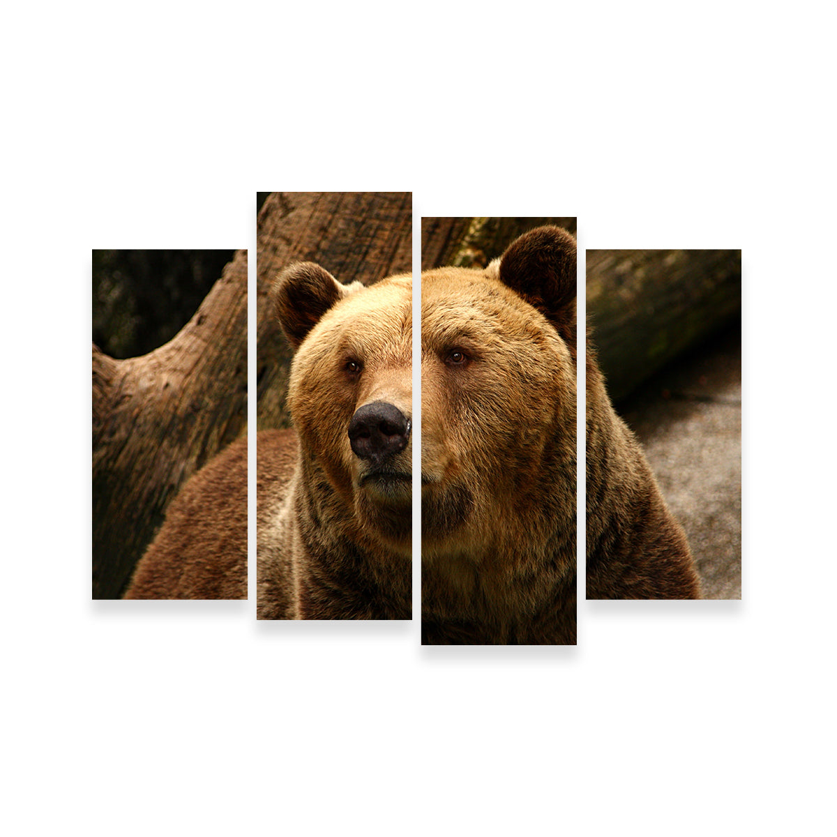 Big Grizzly Wall Art