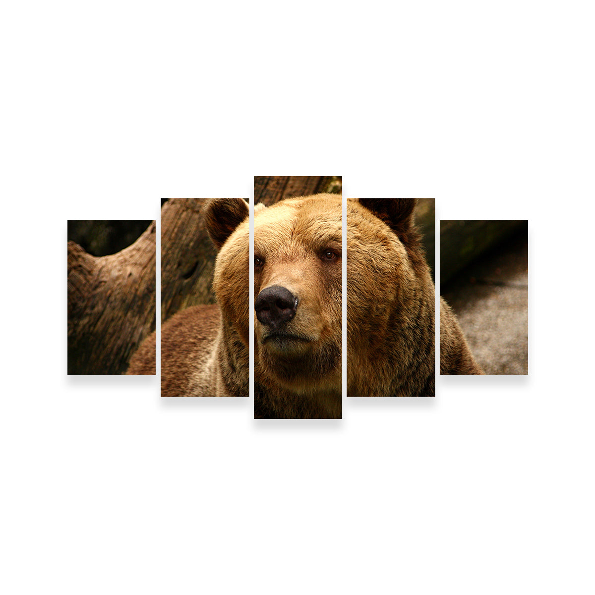 Big Grizzly Wall Art