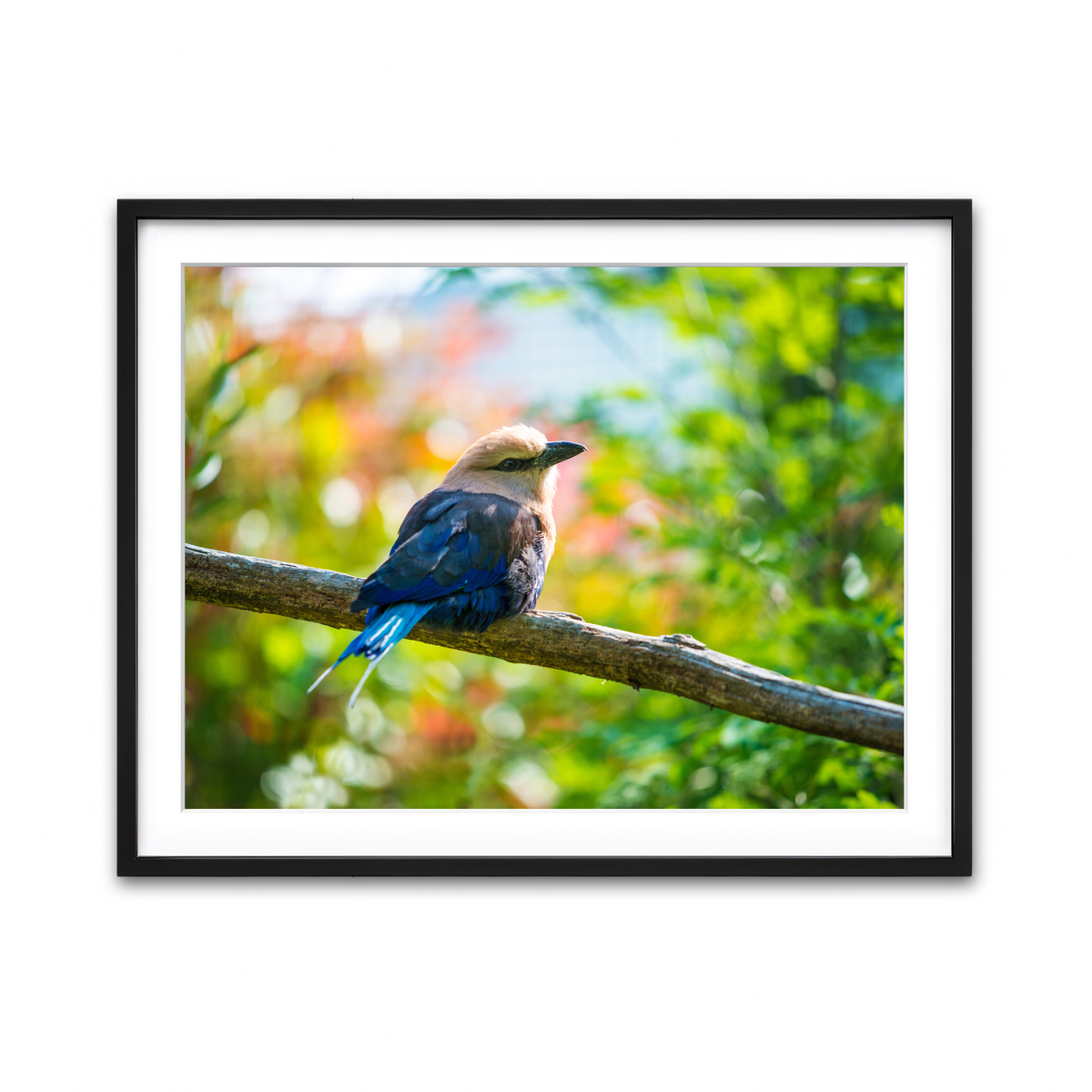 Framed Print 4x3 Black