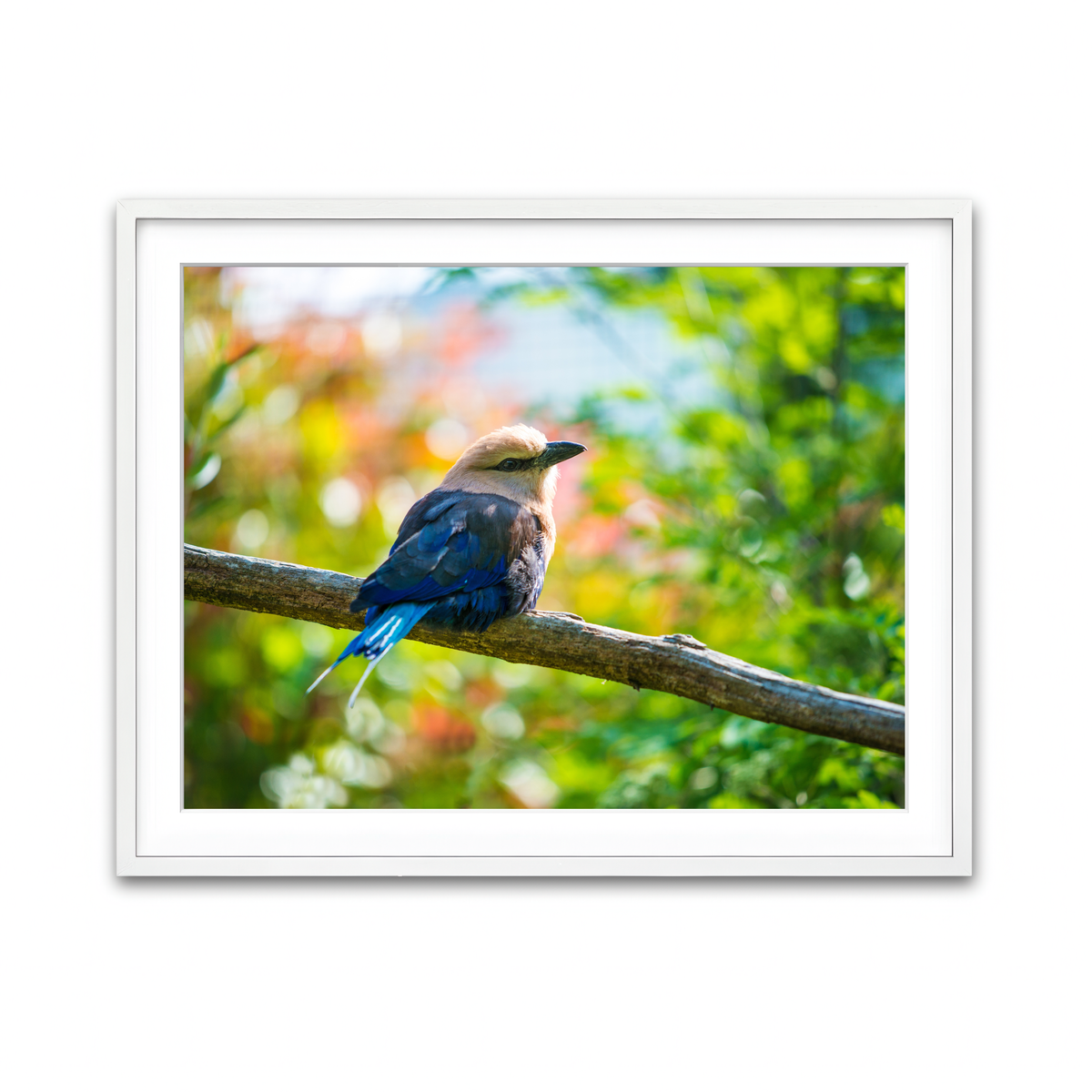 Framed Print 4x3 White