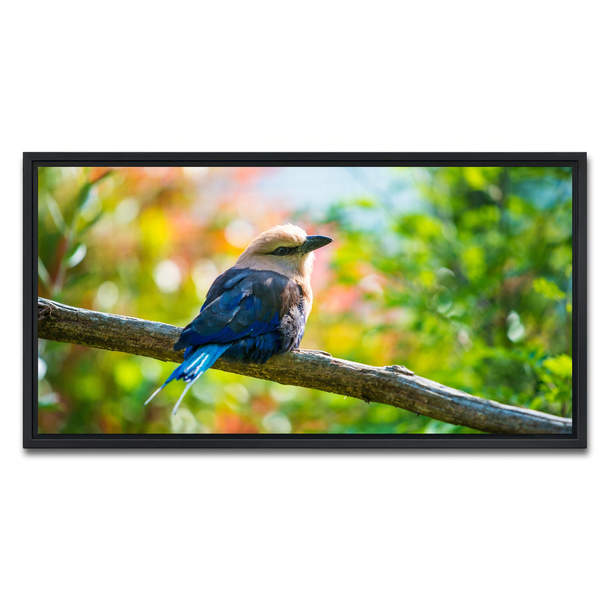 AUTO-MOCKUP WHITE | Bird on a tree | 1 Piece | Black Framed Canvas | group=2x1