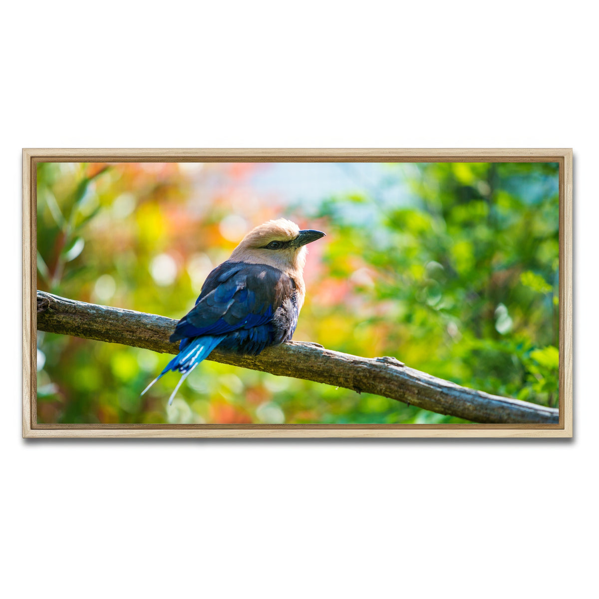 AUTO-MOCKUP WHITE | Bird on a tree | 1 Piece | Natural Framed Canvas | group=2x1