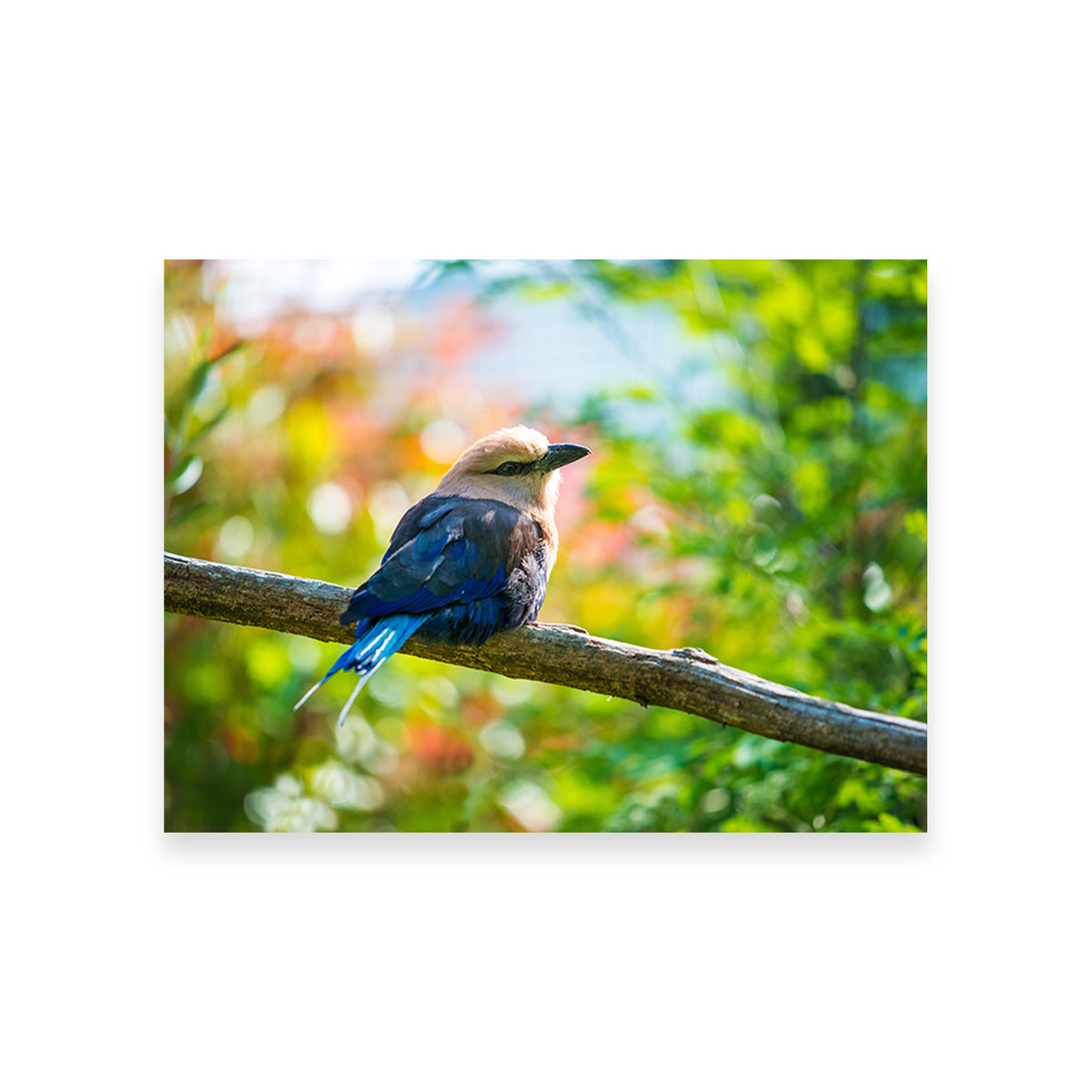 Bird On A Tree Wall Art
