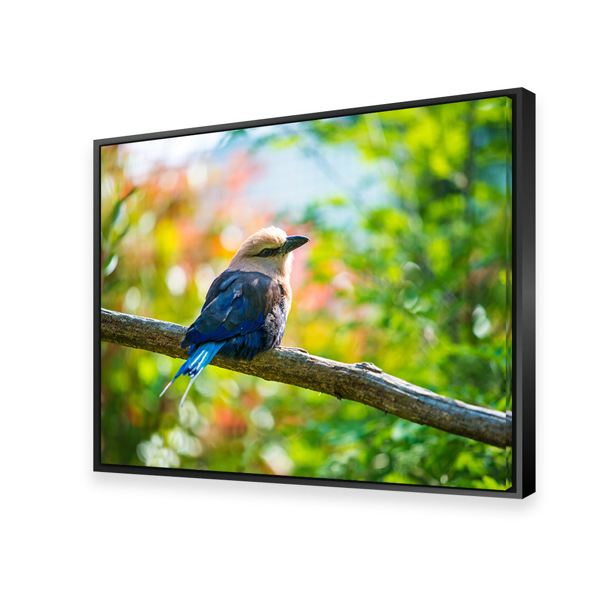 Bird On A Tree Wall Art