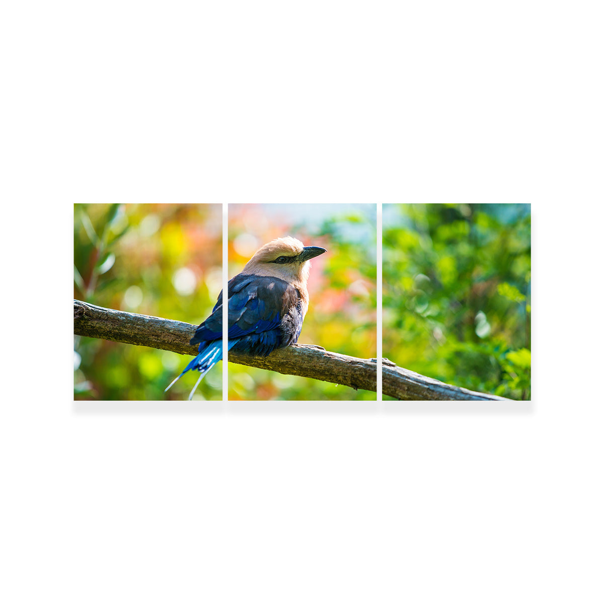 Bird On A Tree Wall Art