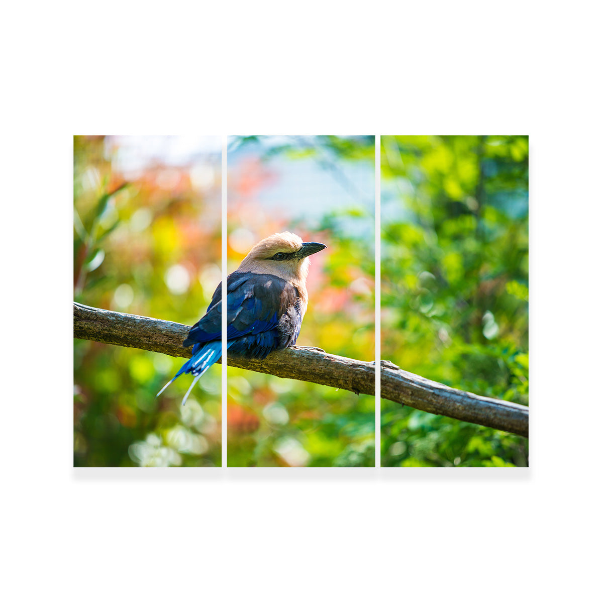 Bird On A Tree Wall Art