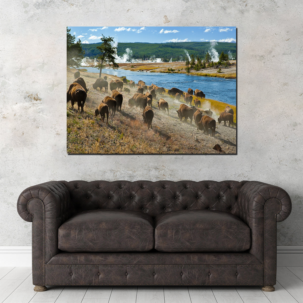 Bison Herd in Yellowstone Wall Art