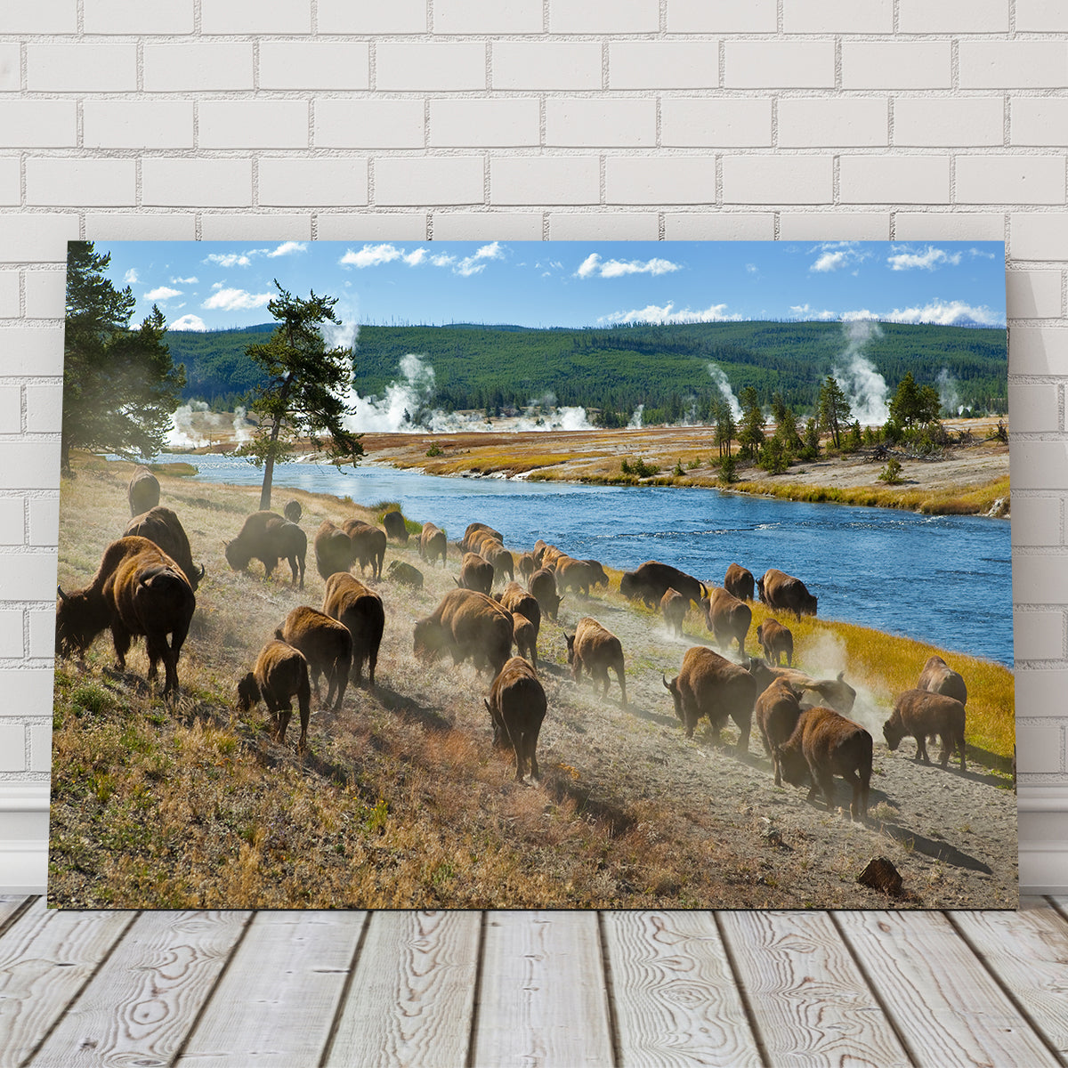 Bison Herd in Yellowstone Wall Art