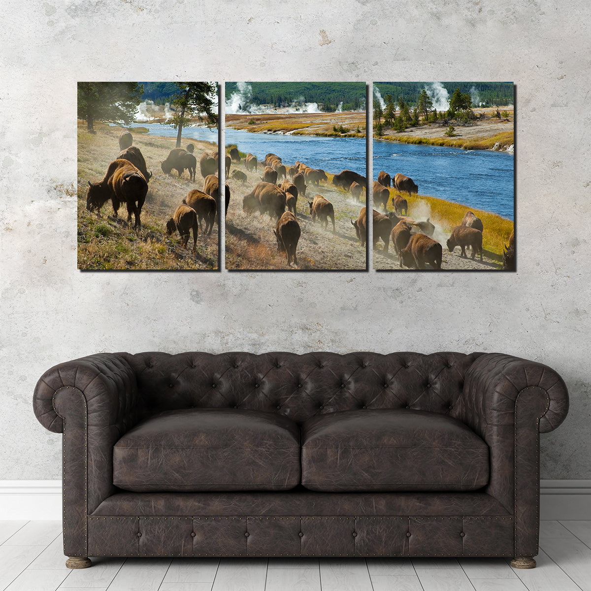 Bison Herd in Yellowstone Wall Art