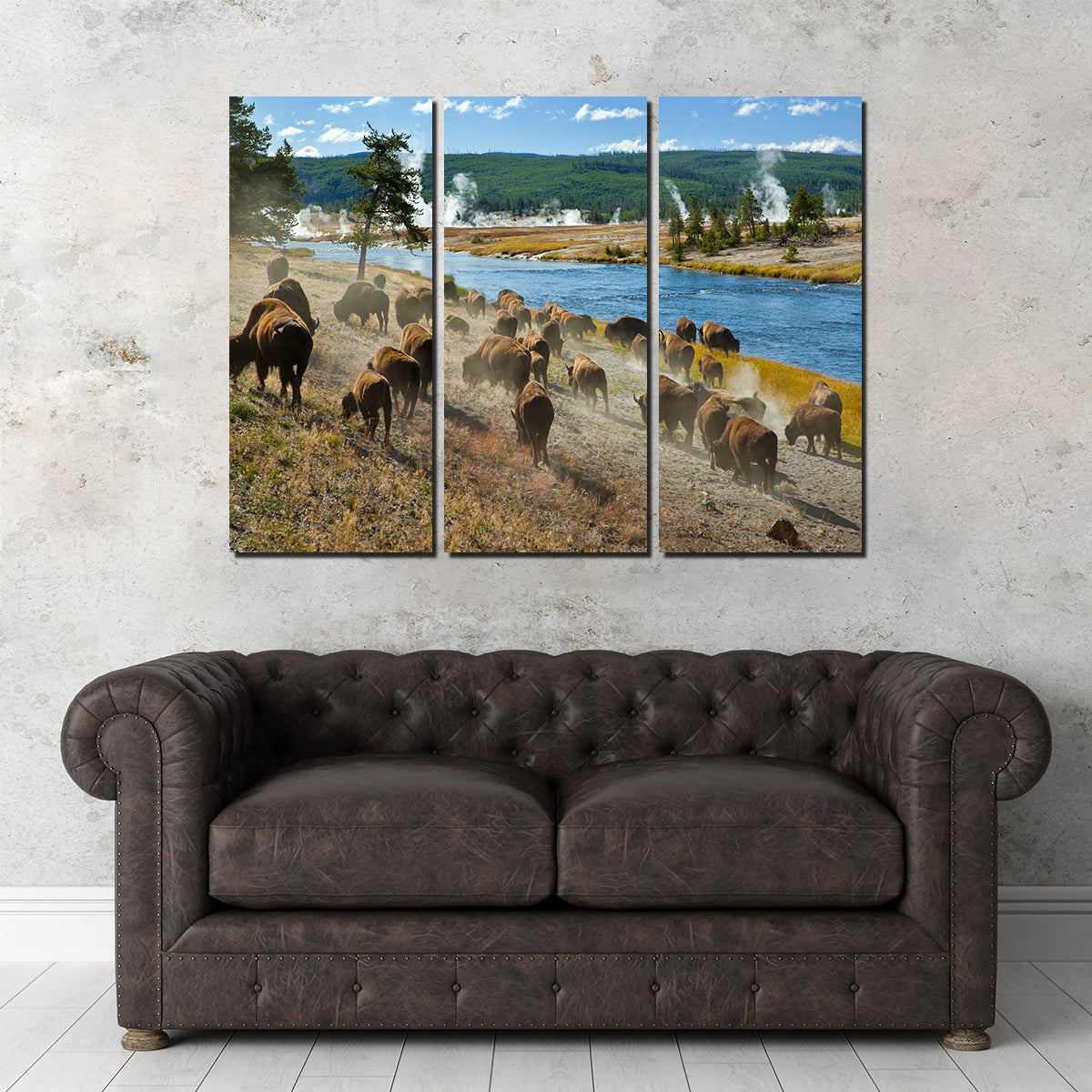 Bison Herd in Yellowstone Wall Art