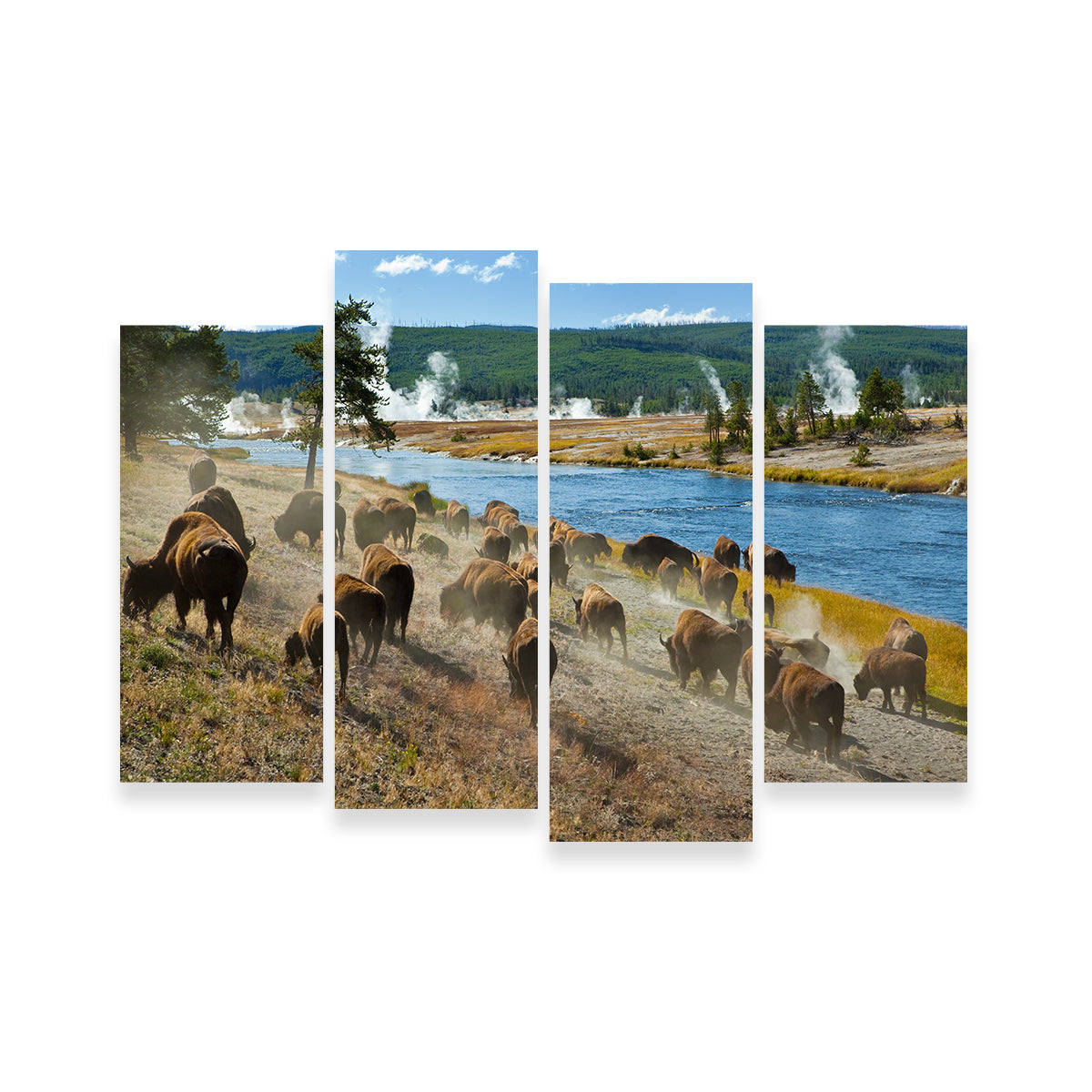 Bison Herd in Yellowstone Wall Art