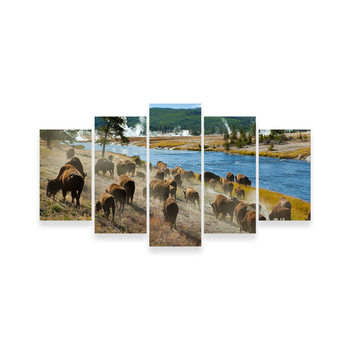 Bison Herd in Yellowstone Wall Art