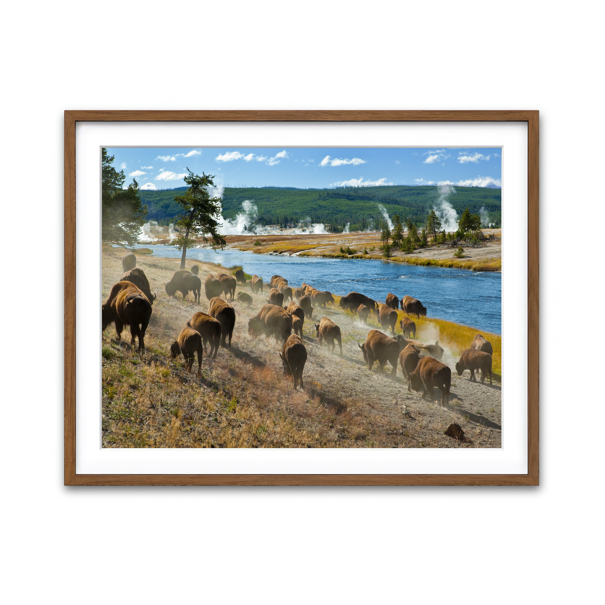 Framed Print 4x3 Walnut