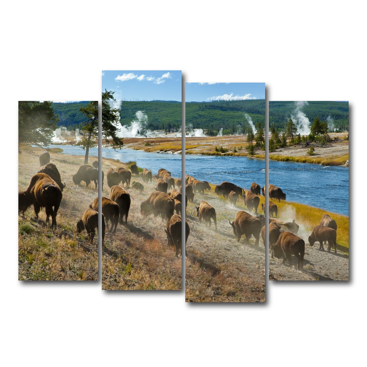 AUTO-MOCKUP WHITE | Bison Herd in Yellowstone | 4 Piece | Gallery Wrap Canvas | group=4_normal