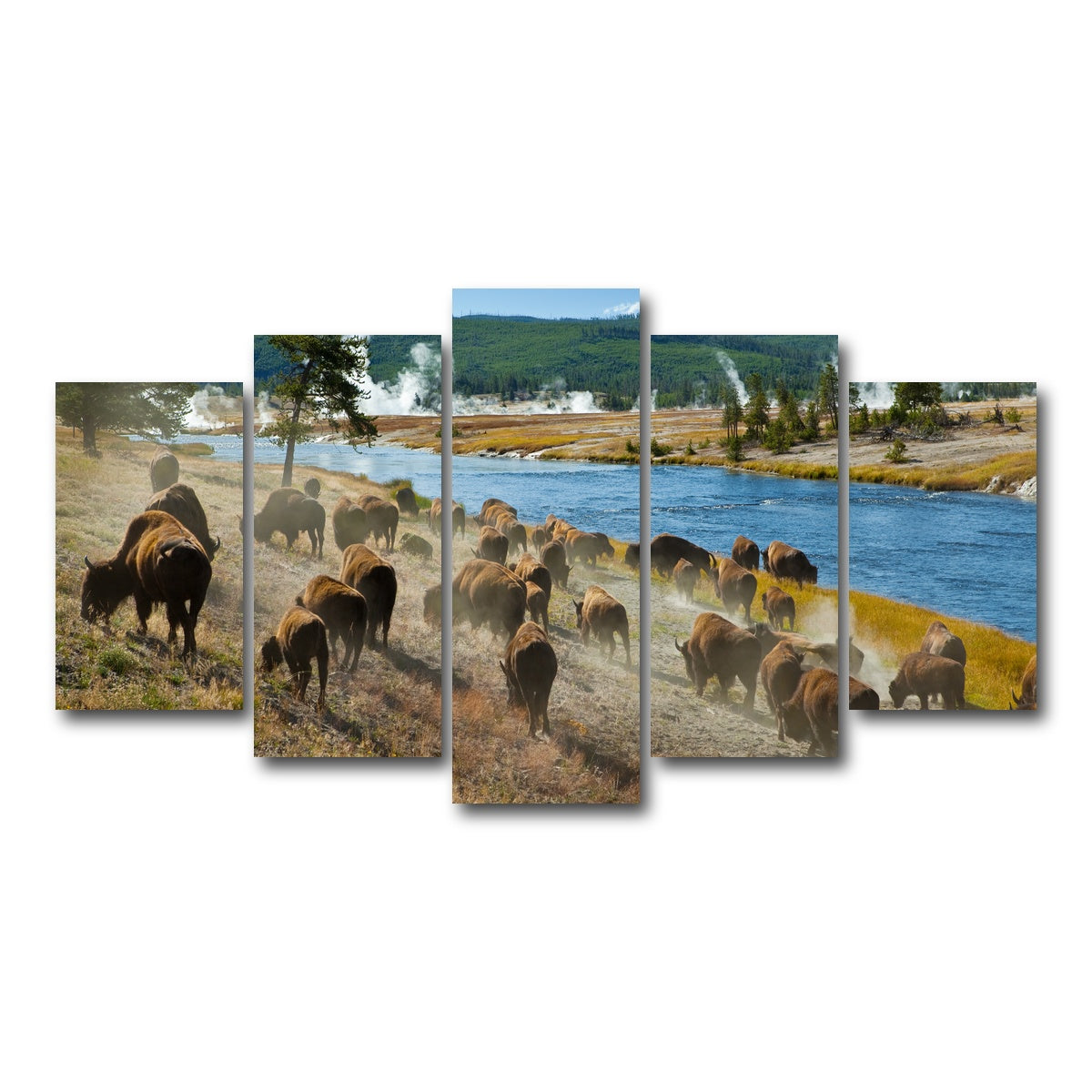 AUTO-MOCKUP WHITE | Bison Herd in Yellowstone | 5 Piece | Gallery Wrap Canvas | group=5_normal