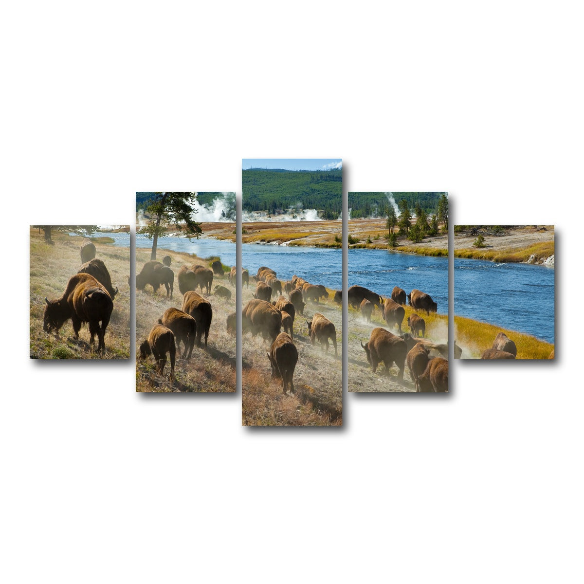 AUTO-MOCKUP WHITE | Bison Herd in Yellowstone | 5 Piece | Gallery Wrap Canvas | group=5_short