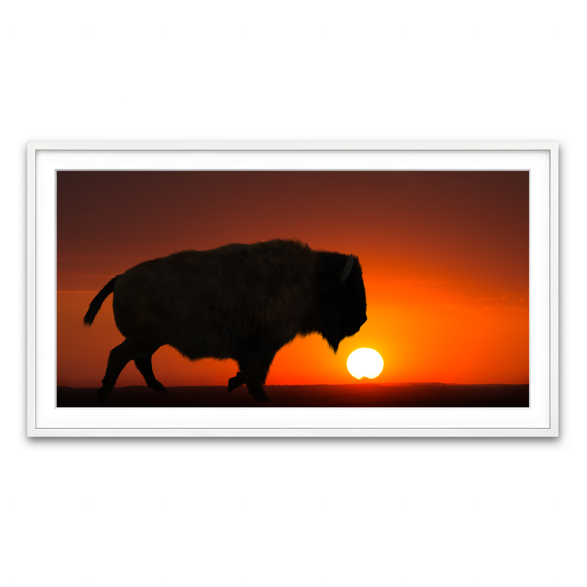 Framed Print 2x1 White