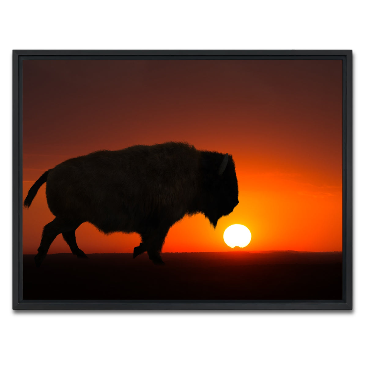 AUTO-MOCKUP WHITE | Bison at Sunset | 1 Piece | Black Framed Canvas | group=4x3