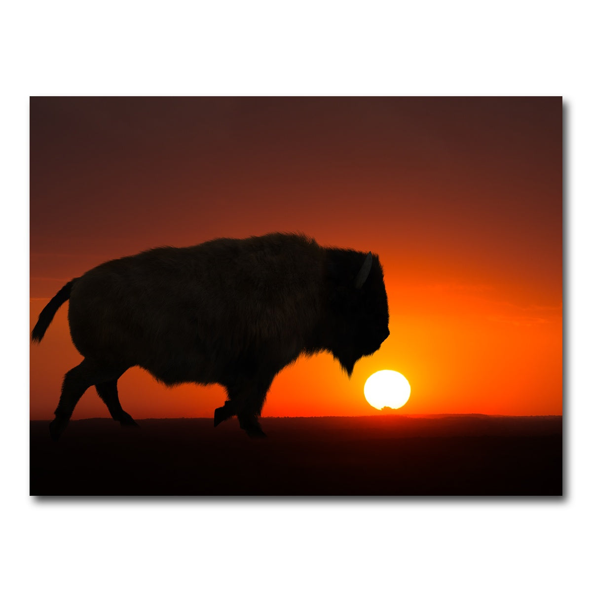 AUTO-MOCKUP WHITE | Bison at Sunset | 1 Piece | Gallery Wrap Canvas | group=4x3