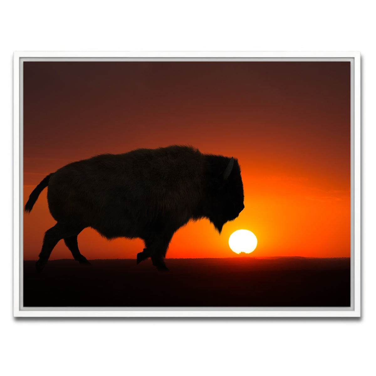 AUTO-MOCKUP WHITE | Bison at Sunset | 1 Piece | White Framed Canvas | group=4x3
